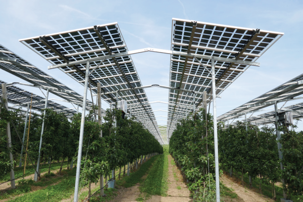 agripv-anlage-m50-260wp-module